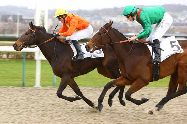 Photo d'arrivée de la course pmu PRIX DE MONTFORT à DEAUVILLE le Mercredi 5 décembre 2018