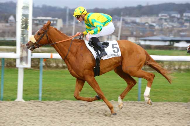 Photo d'arrivée de la course pmu PRIX DE COMMEAUX à DEAUVILLE le Mercredi 5 décembre 2018