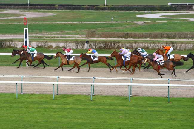 Photo d'arrivée de la course pmu PRIX DE BEAUCHENE à DEAUVILLE le Mercredi 5 décembre 2018