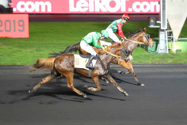 Photo d'arrivée de la course pmu PRIX DE PLESSE à PARIS-VINCENNES le Jeudi 6 décembre 2018