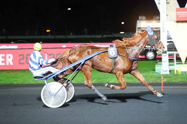 Photo d'arrivée de la course pmu PRIX HESTIA à PARIS-VINCENNES le Vendredi 7 décembre 2018