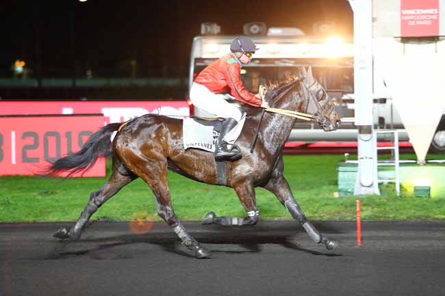Photo d'arrivée de la course pmu PRIX MELUSINA à PARIS-VINCENNES le Vendredi 7 décembre 2018