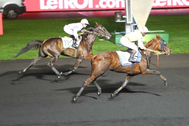 Photo d'arrivée de la course pmu PRIX DE CASTILLONNES à PARIS-VINCENNES le Dimanche 9 décembre 2018