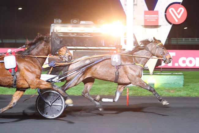 Photo d'arrivée de la course pmu PRIX TAYJETA à PARIS-VINCENNES le Mardi 11 décembre 2018