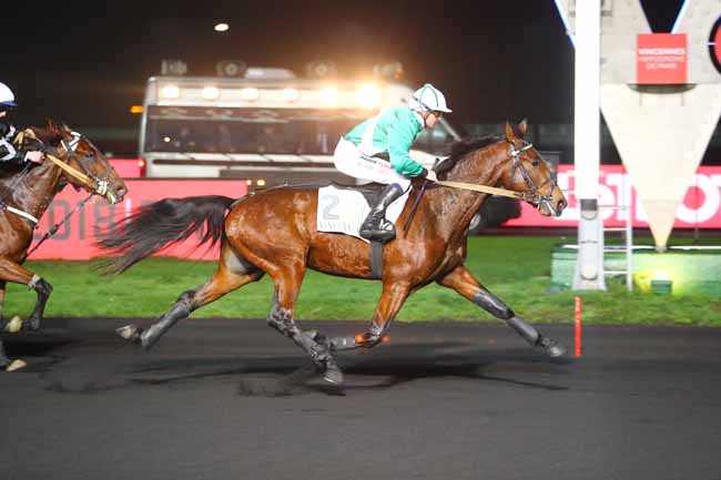 Photo d'arrivée de la course pmu PRIX WERINGIA à PARIS-VINCENNES le Mardi 11 décembre 2018