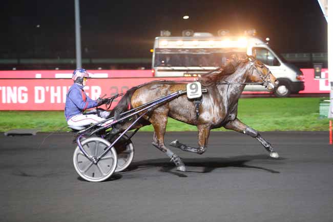 Photo d'arrivée de la course pmu PRIX PHOBOS à PARIS-VINCENNES le Mardi 11 décembre 2018