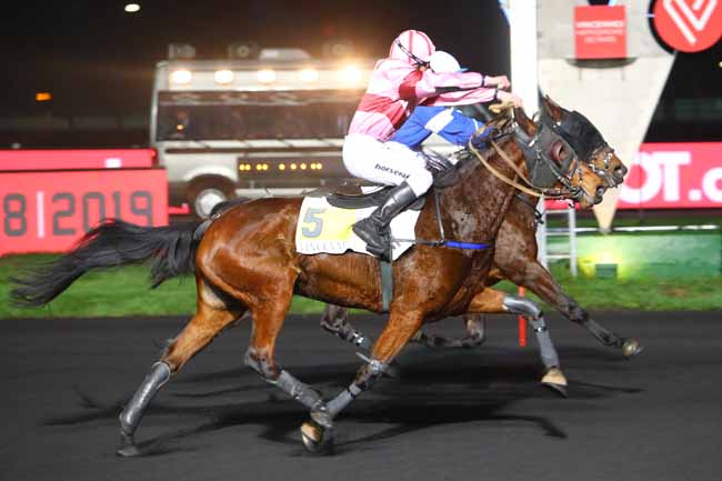 Photo d'arrivée de la course pmu PRIX MERCATOR à PARIS-VINCENNES le Mardi 11 décembre 2018