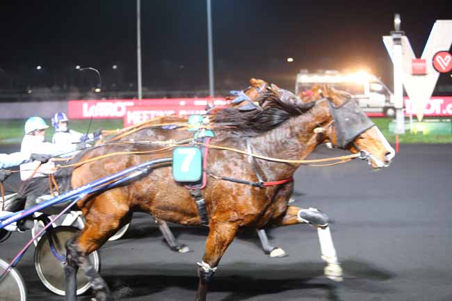 Photo d'arrivée de la course pmu PRIX EUNOMIA à PARIS-VINCENNES le Mardi 11 décembre 2018