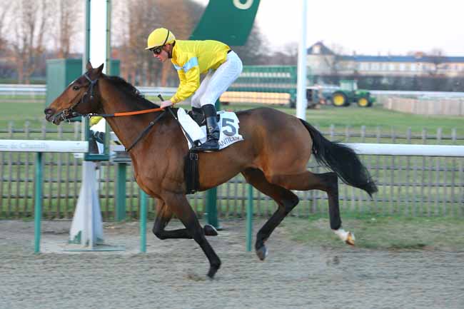 Photo d'arrivée de la course pmu PRIX DE LA PISTE D'AVILLY à CHANTILLY le Jeudi 13 décembre 2018
