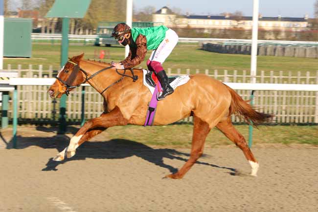 Photo d'arrivée de la course pmu PRIX DE LA ROUTE DU BERCEAU à CHANTILLY le Jeudi 13 décembre 2018