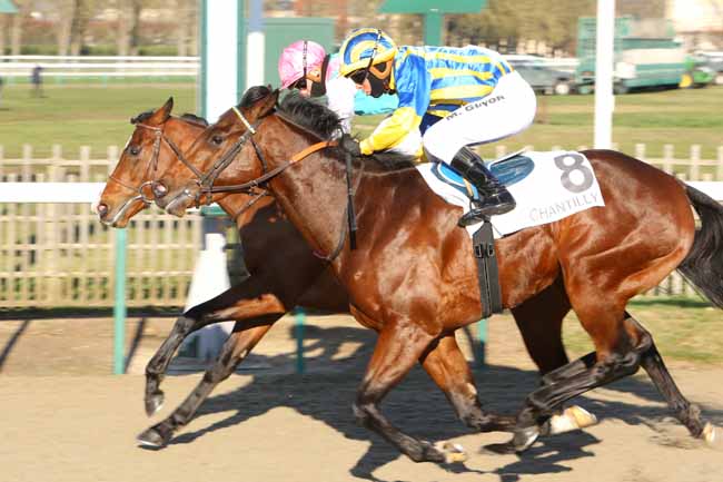 Photo d'arrivée de la course pmu PRIX DU JEU DE L'OIE à CHANTILLY le Jeudi 13 décembre 2018