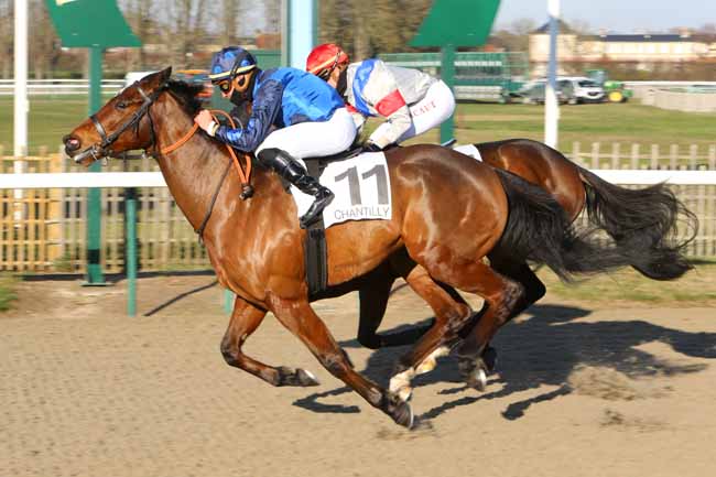 Photo d'arrivée de la course pmu PRIX DE LA PISTE DES VIEILLES GARENNES à CHANTILLY le Jeudi 13 décembre 2018