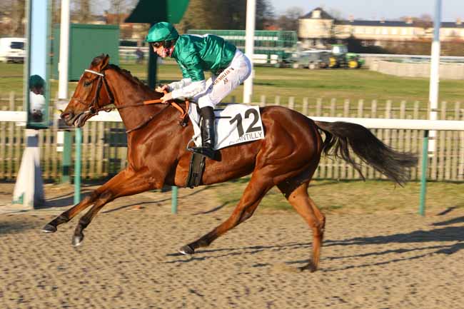 Photo d'arrivée de la course pmu PRIX DU TEMPLE DE VENUS à CHANTILLY le Jeudi 13 décembre 2018