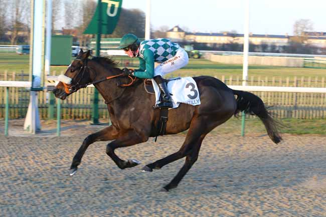 Photo d'arrivée de la course pmu PRIX DE L'ENGUERANDE à CHANTILLY le Jeudi 13 décembre 2018