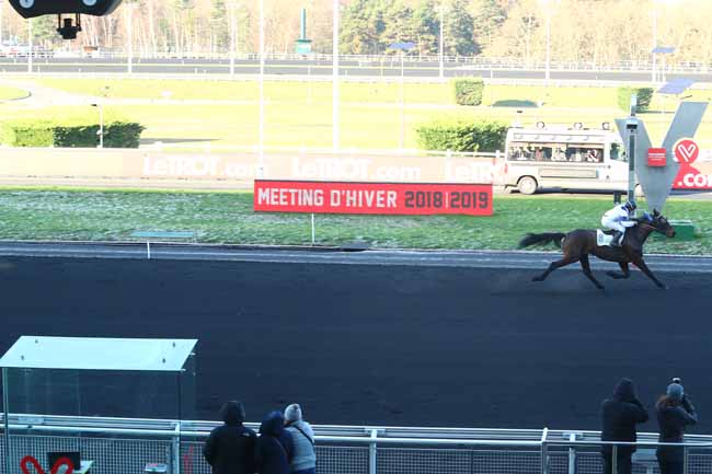 Photo d'arrivée de la course pmu PRIX DU SAP à PARIS-VINCENNES le Jeudi 13 décembre 2018
