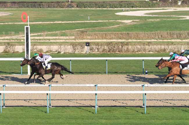 Photo d'arrivée de la course pmu PRIX DE LA HAUQUERIE (PELOTON A) à DEAUVILLE le Vendredi 14 décembre 2018