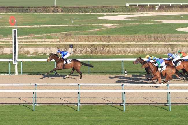 Photo d'arrivée de la course pmu PRIX DE LA HAUQUERIE (PELOTON B) à DEAUVILLE le Vendredi 14 décembre 2018