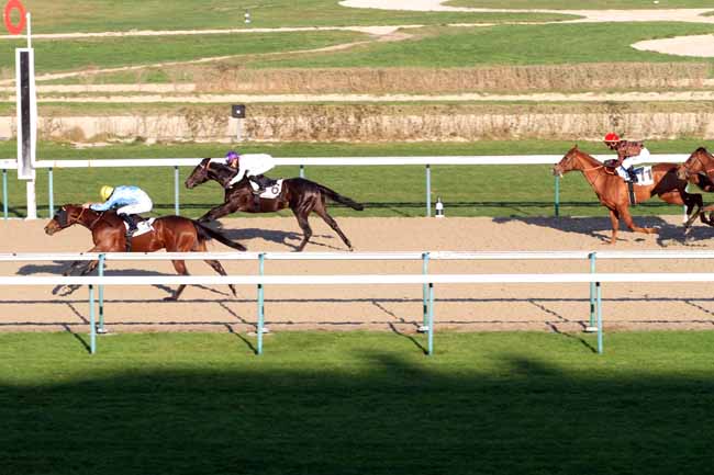 Photo d'arrivée de la course pmu PRIX DU PONT DE LA PIERRE à DEAUVILLE le Vendredi 14 décembre 2018