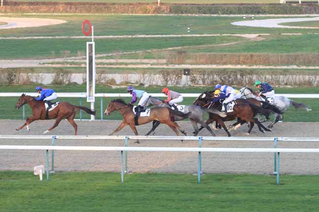 Photo d'arrivée de la course pmu PRIX DE LA ROCHE D'OETRE à DEAUVILLE le Vendredi 14 décembre 2018