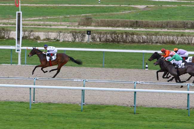 Photo d'arrivée de la course pmu PRIX DE LA PIERRE AUX FEES à DEAUVILLE le Mardi 18 décembre 2018