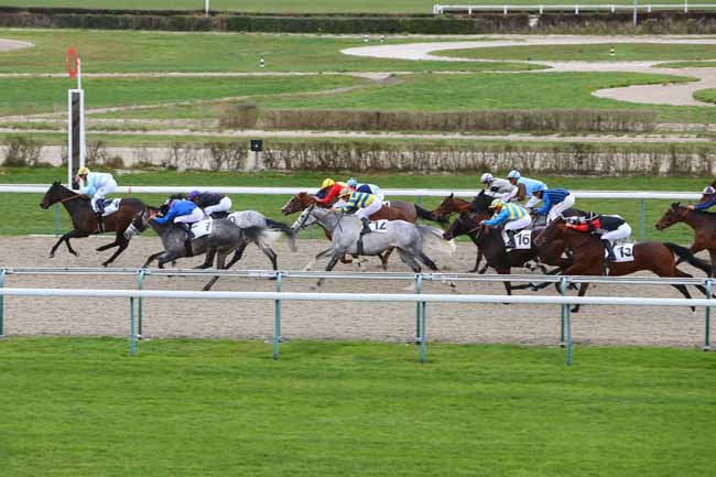 Photo d'arrivée de la course pmu PRIX DE SAINTE-MERE-EGLISE à DEAUVILLE le Mardi 18 décembre 2018