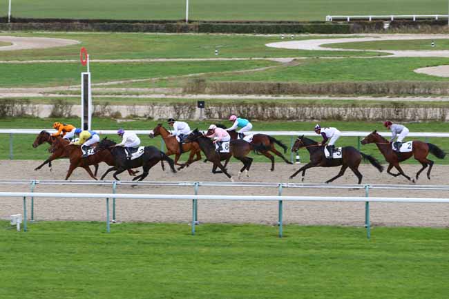 Photo d'arrivée de la course pmu PRIX DE MARTAINVILLE à DEAUVILLE le Mardi 18 décembre 2018