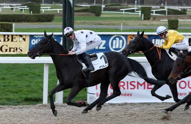 Photo d'arrivée de la course pmu PRIX DE MEILLON à PAU le Mercredi 19 décembre 2018