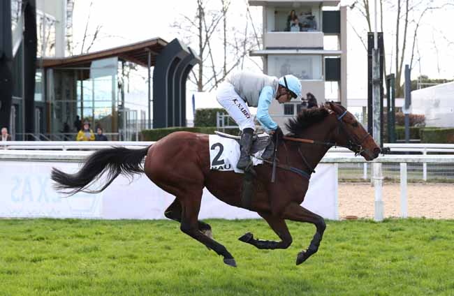 Photo d'arrivée de la course pmu PRIX DE LONS à PAU le Mercredi 19 décembre 2018
