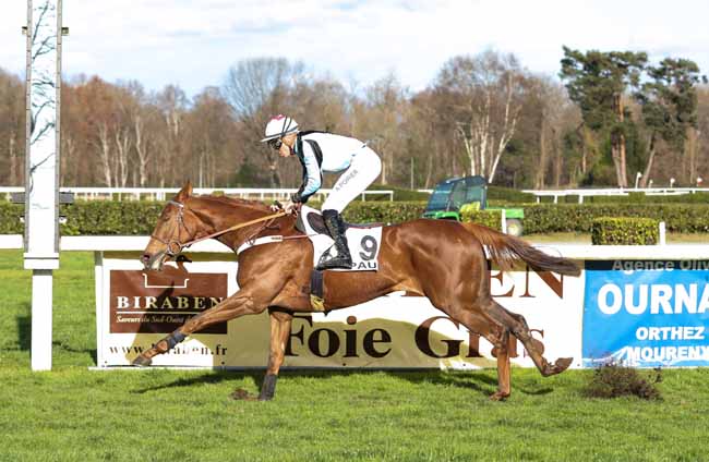 Photo d'arrivée de la course pmu PRIX BIRABEN FOIE GRAS - PRIX GEORGES PASTRE à PAU le Mercredi 19 décembre 2018
