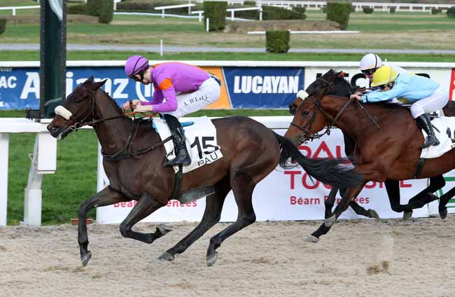 Photo d'arrivée de la course pmu PRIX DE BORDES à PAU le Mercredi 19 décembre 2018