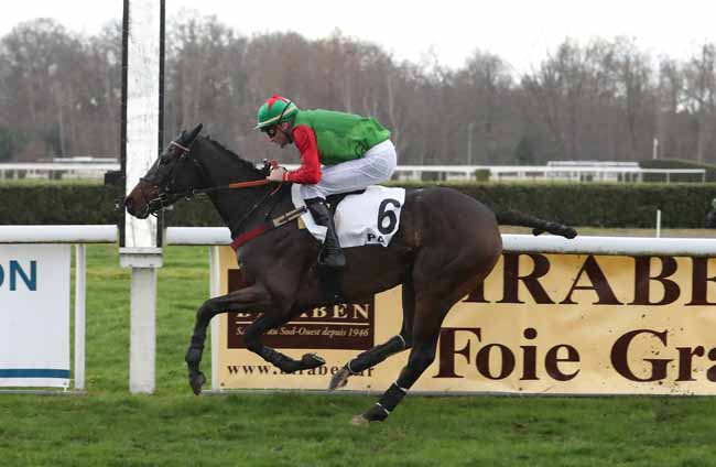 Photo d'arrivée de la course pmu PRIX DE BIELLE à PAU le Mercredi 19 décembre 2018