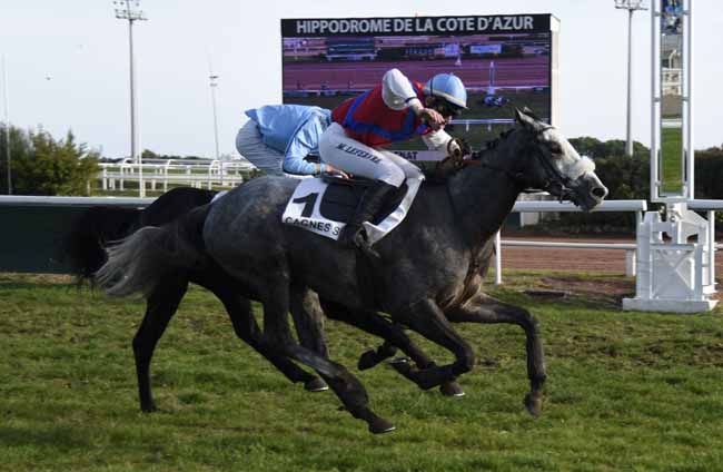 Photo d'arrivée de la course pmu PRIX DU CAP BENAT à CAGNES-SUR-MER le Lundi 24 décembre 2018