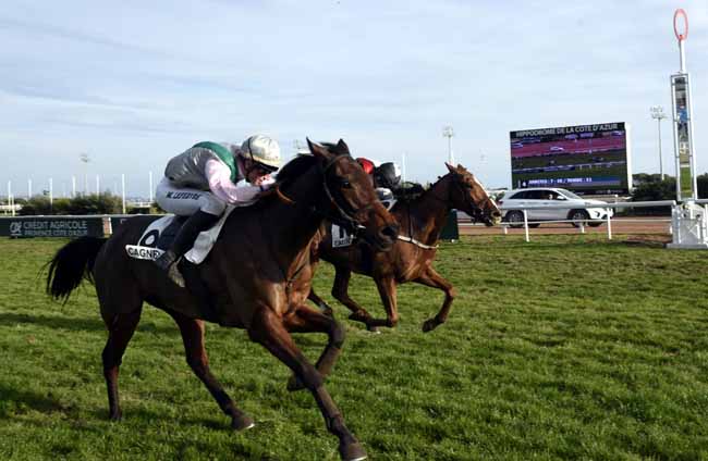Photo d'arrivée de la course pmu PRIX DU CAP FERRAT à CAGNES-SUR-MER le Lundi 24 décembre 2018