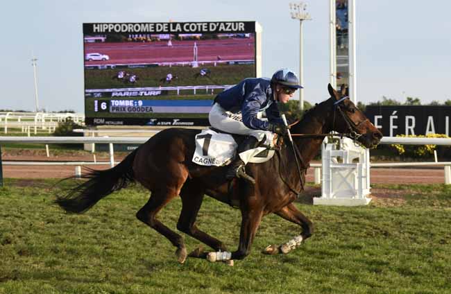 Photo d'arrivée de la course pmu PRIX GOODEA à CAGNES-SUR-MER le Lundi 24 décembre 2018