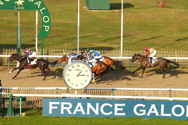 Photo d'arrivée de la course pmu PRIX DE LA ROUTE PAPILLON à CHANTILLY le Mercredi 26 décembre 2018