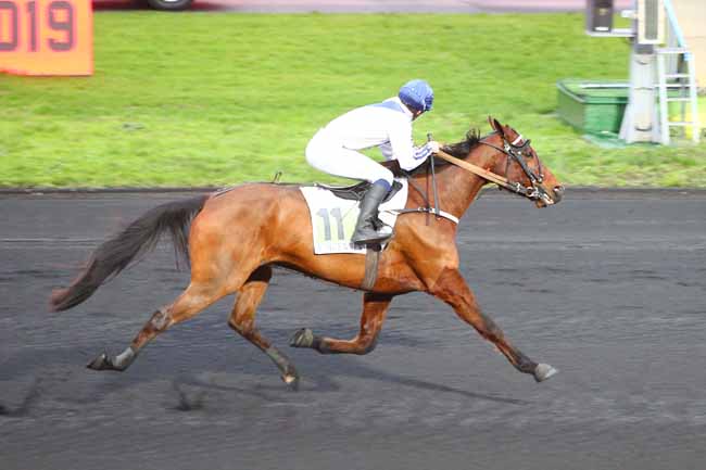 Photo d'arrivée de la course pmu PRIX DE BOUVRON à PARIS-VINCENNES le Lundi 31 décembre 2018
