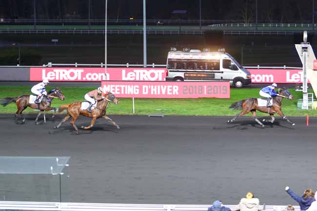 Photo d'arrivée de la course pmu PRIX DE LUCHON à PARIS-VINCENNES le Mardi 1 janvier 2019