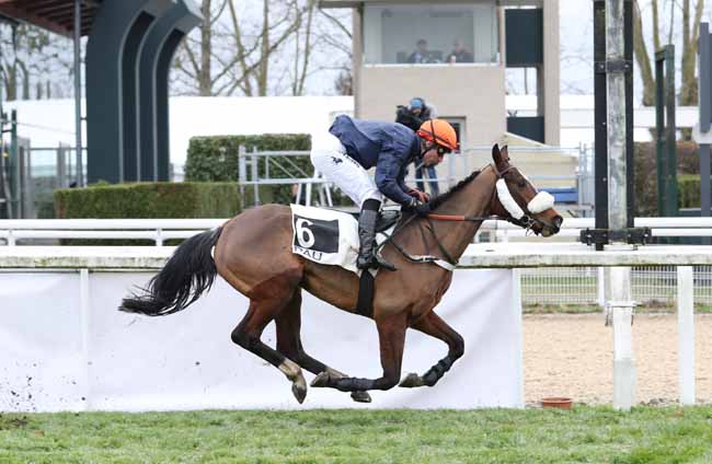 Photo d'arrivée de la course pmu PRIX DE GUETHARY à PAU le Mercredi 2 janvier 2019
