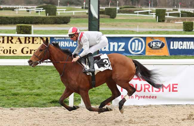 Photo d'arrivée de la course pmu PRIX D'ACCOUS à PAU le Mercredi 2 janvier 2019