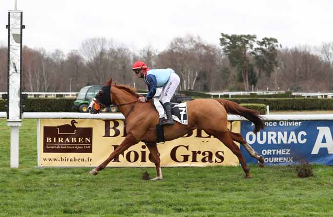 Photo d'arrivée de la course pmu PRIX BERNARD DE DUFAU - PRIX RENAUD DU VIVIER à PAU le Mercredi 2 janvier 2019