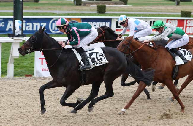 Photo d'arrivée de la course pmu PRIX DU CONSEIL GENERAL DES PYRENEES-ATLANTIQUES à PAU le Mercredi 2 janvier 2019