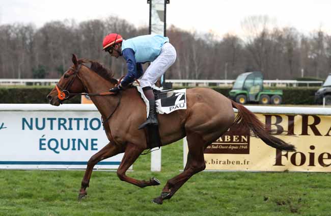Photo d'arrivée de la course pmu PRIX PAUL LARREGAIN à PAU le Mercredi 2 janvier 2019