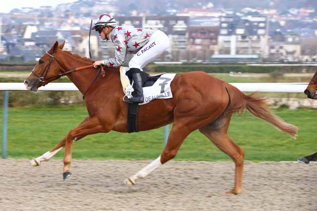 Photo d'arrivée de la course pmu PRIX NAVRATILOVNA à DEAUVILLE le Jeudi 3 janvier 2019