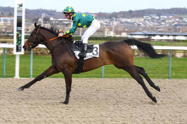 Photo d'arrivée de la course pmu PRIX DE LA SEULLETTE à DEAUVILLE le Jeudi 3 janvier 2019