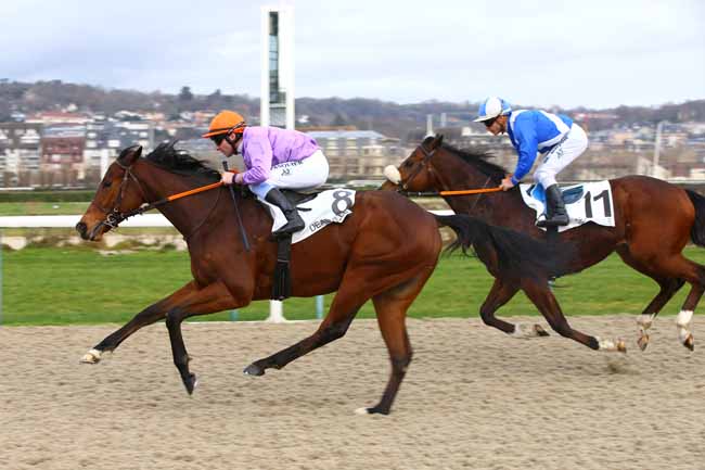 Photo d'arrivée de la course pmu PRIX DE SAINT-JAMES à DEAUVILLE le Jeudi 3 janvier 2019