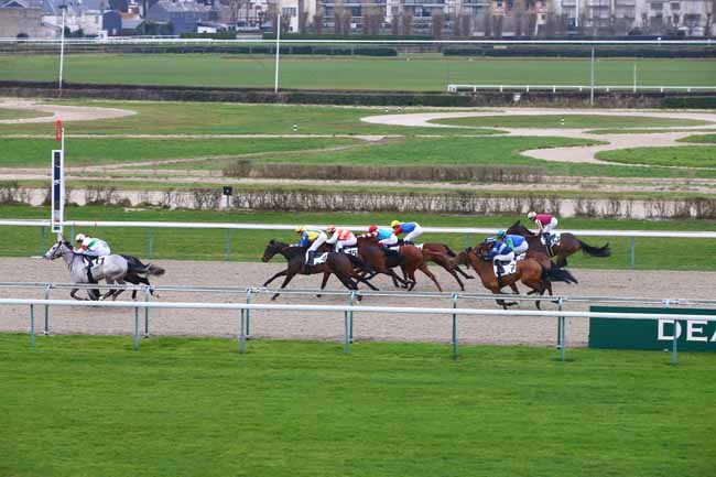 Photo d'arrivée de la course pmu PRIX DE LA PERDRIERE à DEAUVILLE le Vendredi 4 janvier 2019