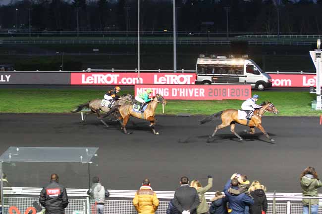 Photo d'arrivée de la course pmu PRIX DE SULLY à PARIS-VINCENNES le Samedi 5 janvier 2019