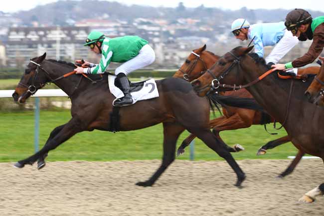 Photo d'arrivée de la course pmu PRIX CARO à DEAUVILLE le Samedi 5 janvier 2019
