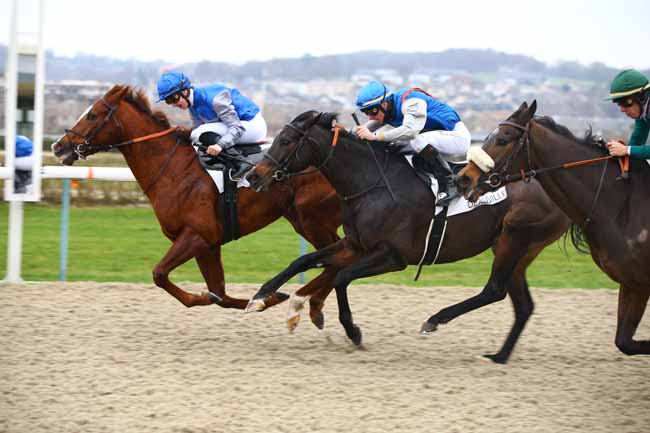 Photo d'arrivée de la course pmu PRIX DE SAINT-ROCH à DEAUVILLE le Samedi 5 janvier 2019