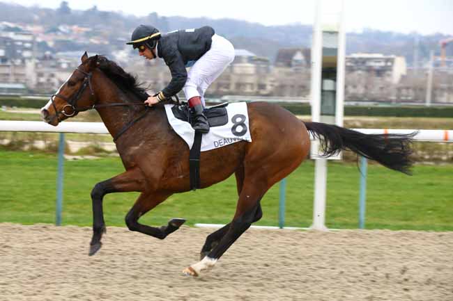 Photo d'arrivée de la course pmu PRIX DE LA GARE DE POINTE-NOIRE à DEAUVILLE le Samedi 5 janvier 2019